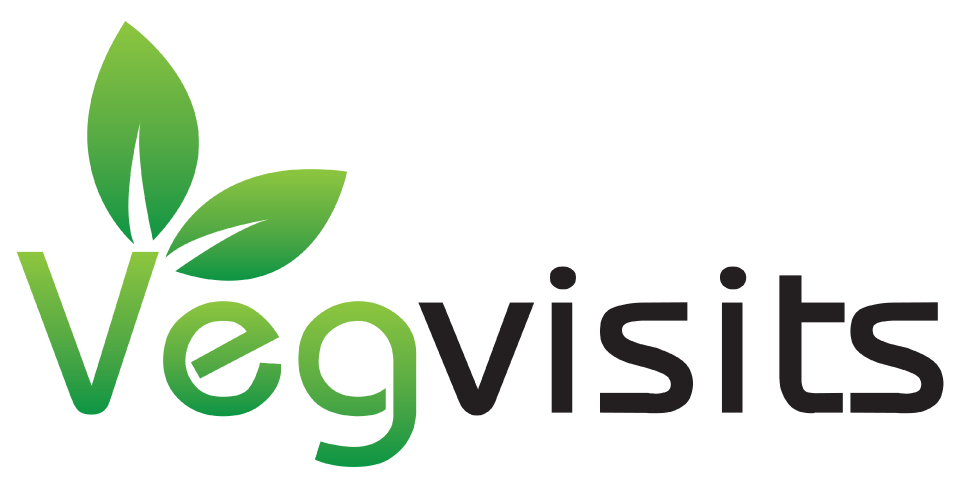 Vegvisits