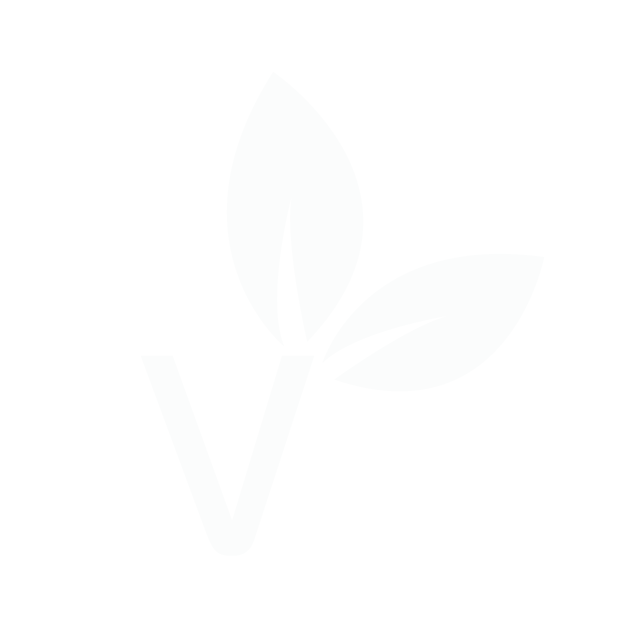 Vegvisits